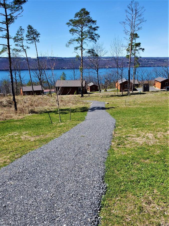 Single Island Shores Hector Exterior photo