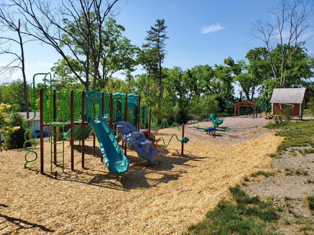 Single Island Shores Hector Exterior photo