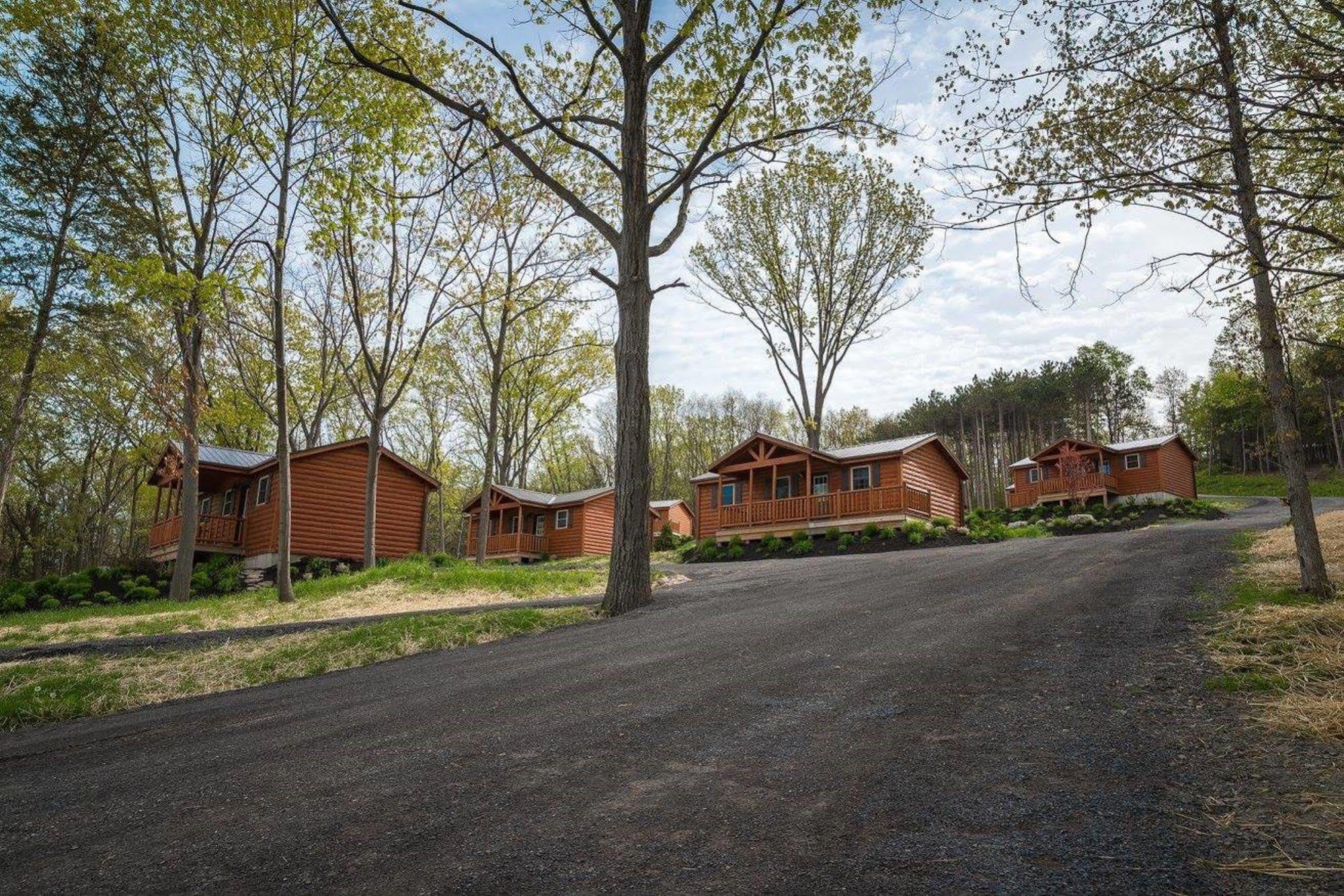 Single Island Shores Hector Exterior photo