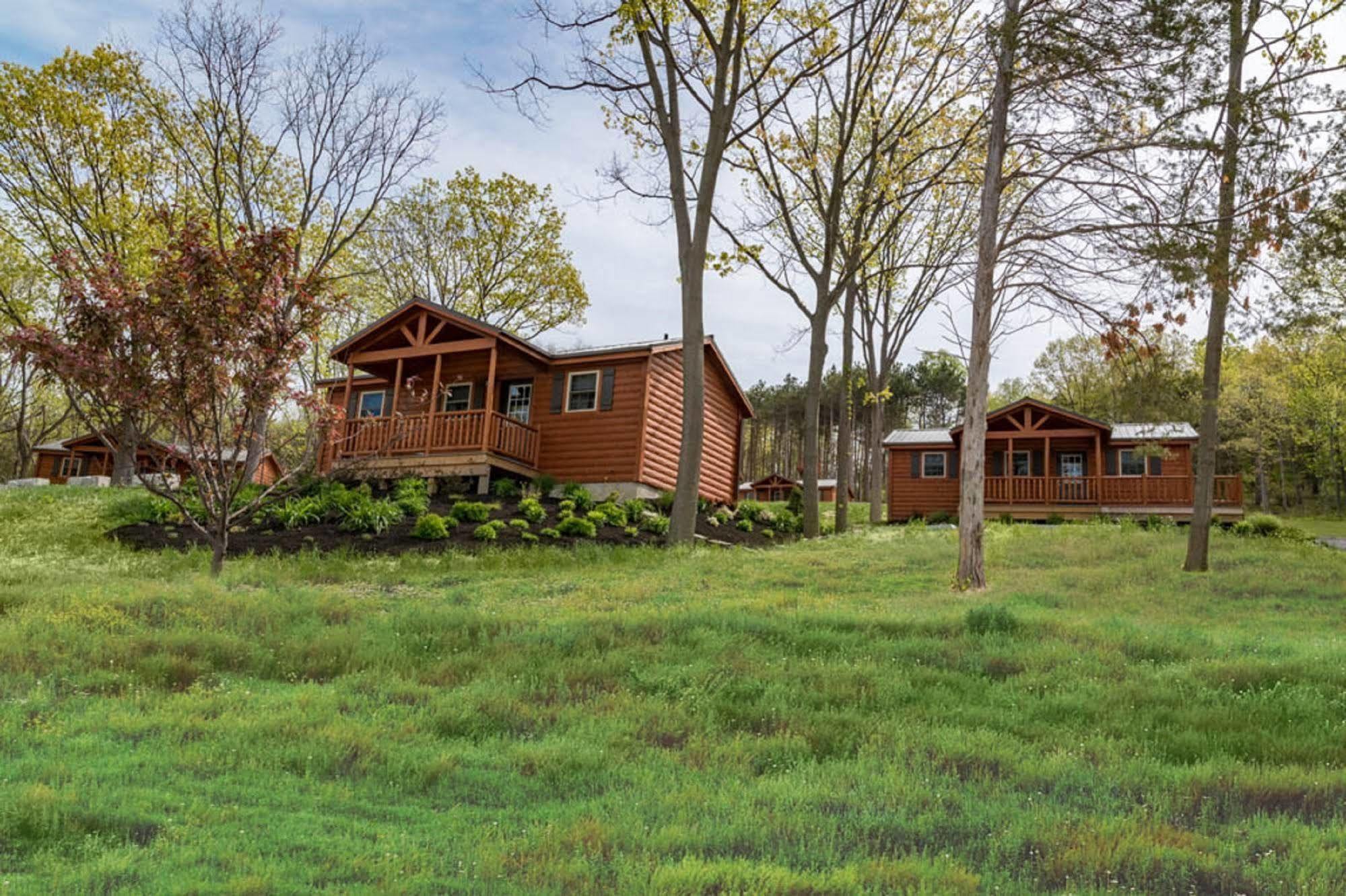 Single Island Shores Hector Exterior photo