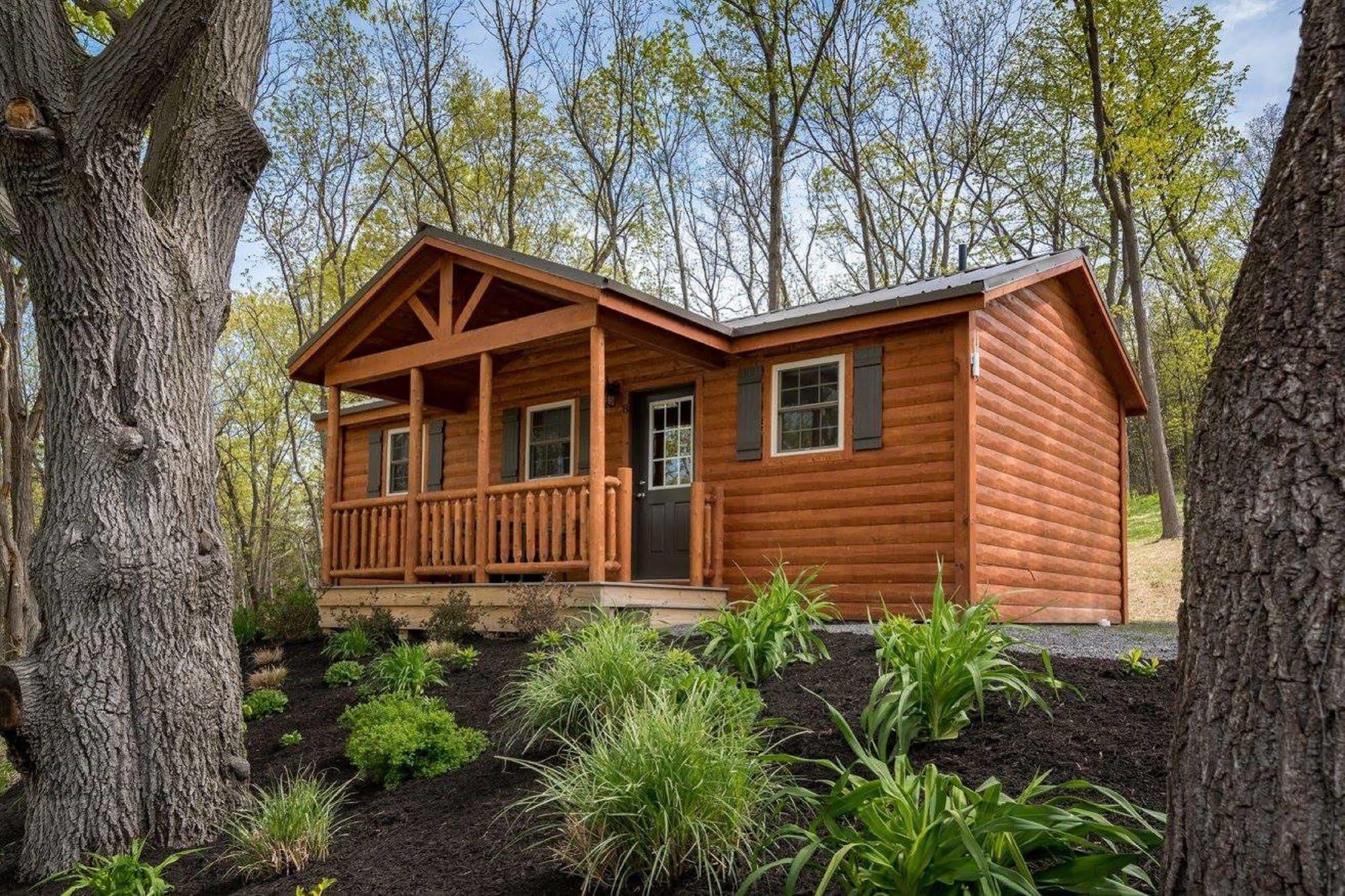 Single Island Shores Hector Exterior photo